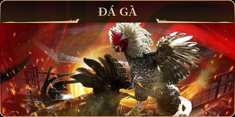 Cách Chơi Đá Gà GA28 Tại 69VN Kịch Tính Hấp Dẫn 2025 2 Cách Chơi Đá Gà GA28 Tại 69VN Kịch Tính Hấp Dẫn 2025