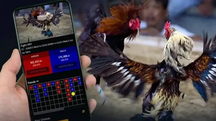 Đá Gà 69VN Sân Chơi Cá Cược Kịch Tính Nhất 2025