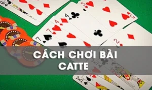 Cách Chơi Sắc Tê Nhà Cái 69VN Dễ Thắng Cho Người Mới Bắt Đầu